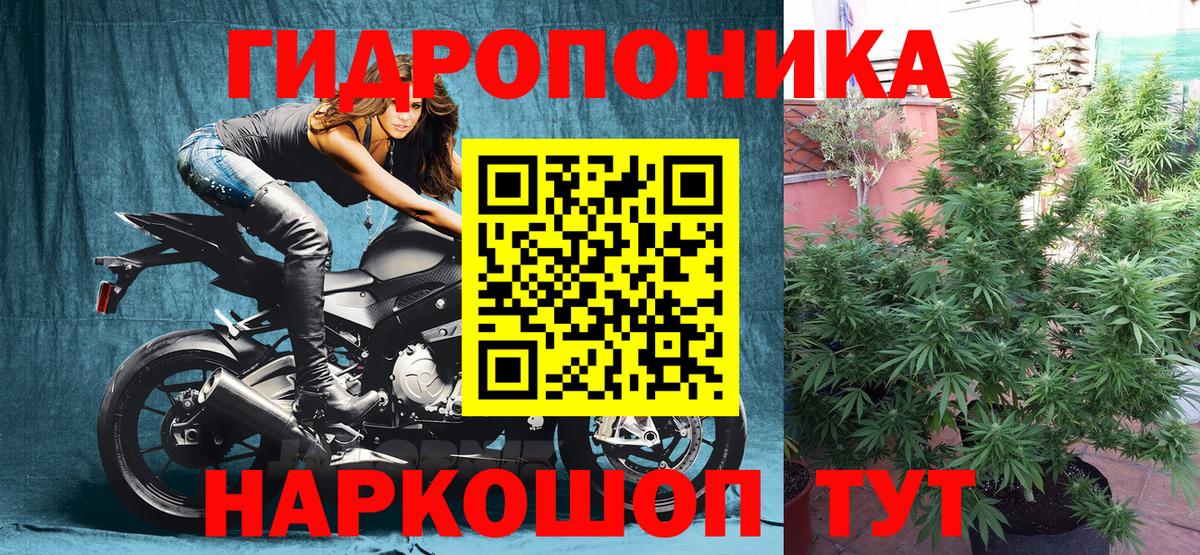 Конопля Amnesia  МАРИХУАНА тримм  Горячий Ключ  МАРИХУАНА THC 21%  Вход с VPN 